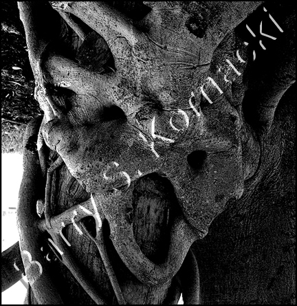 tree%20face001.jpg